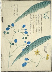 Image description is not available for 1975.050